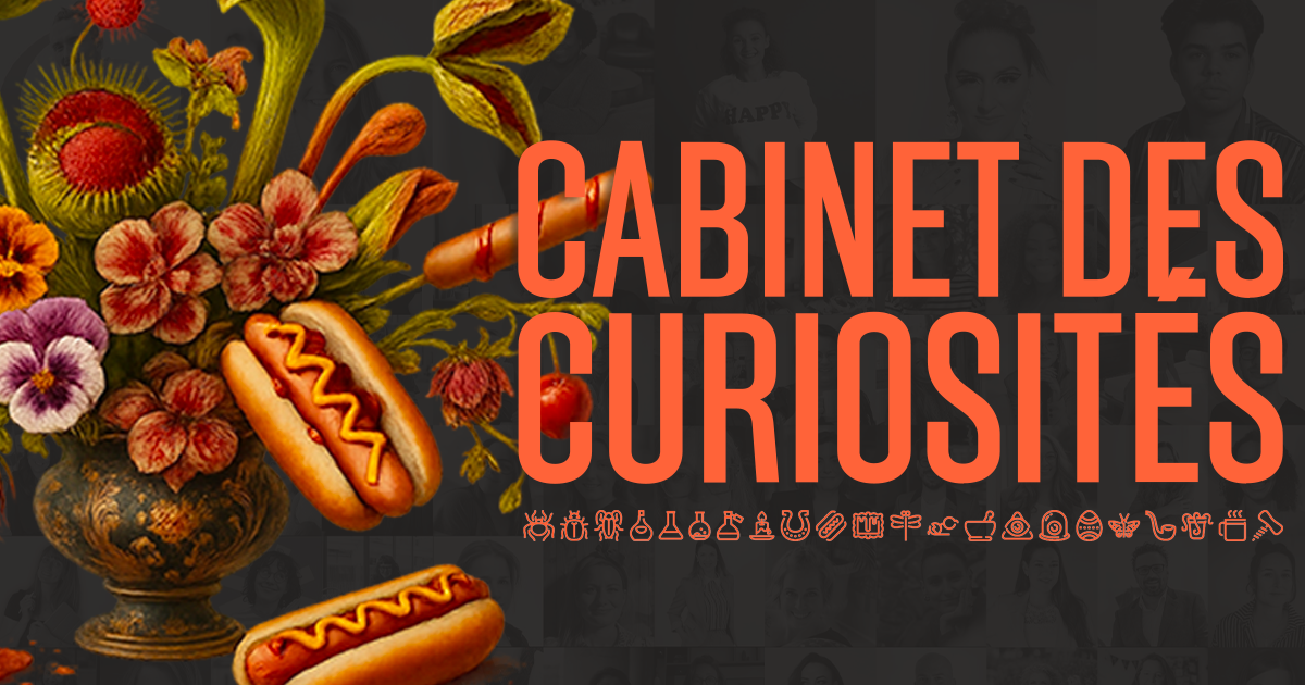 124 outils et stratégies pour petits et grands projets - Découvre le Cabinet des curiosités !